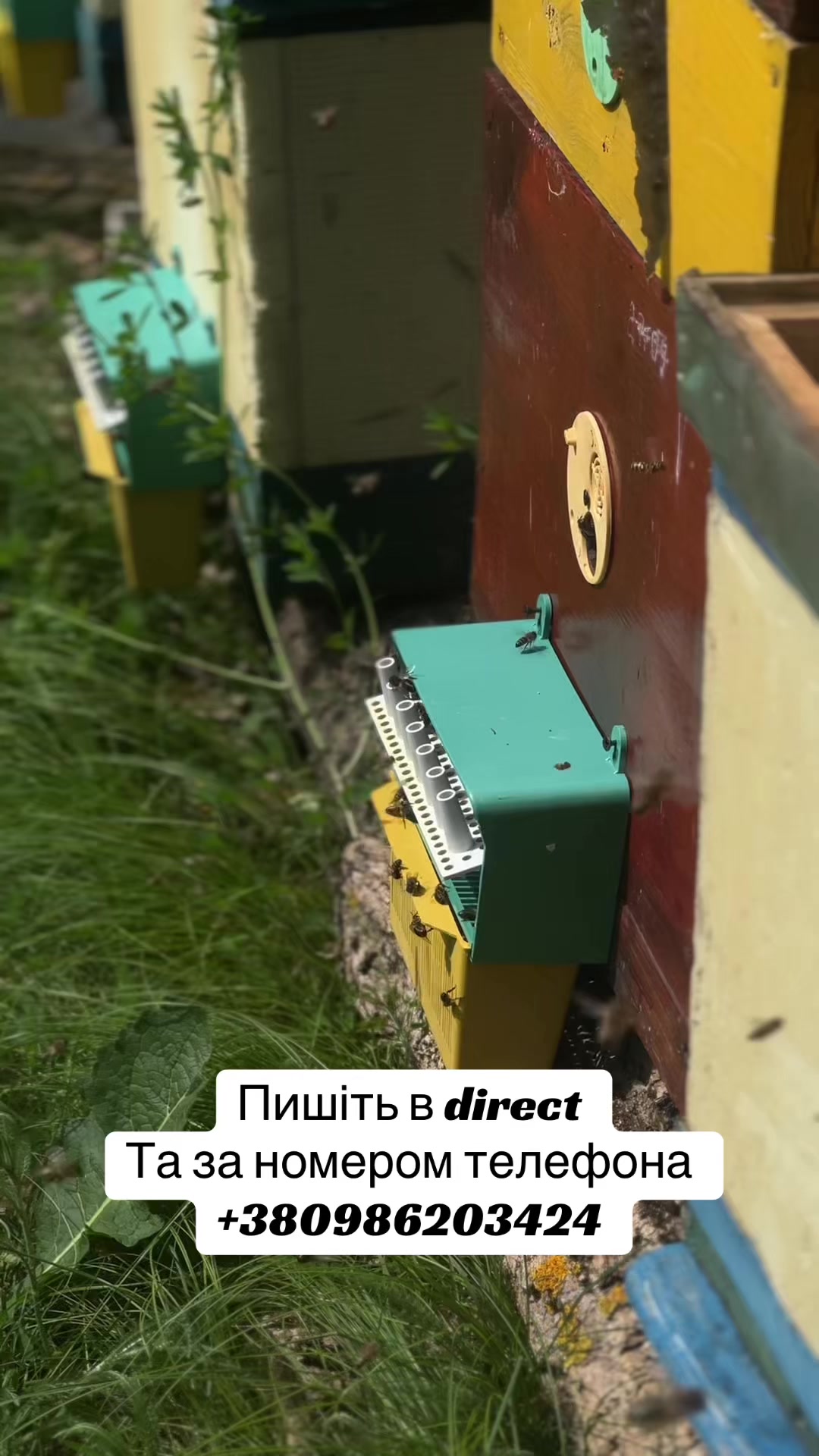 @Артём Лебедь