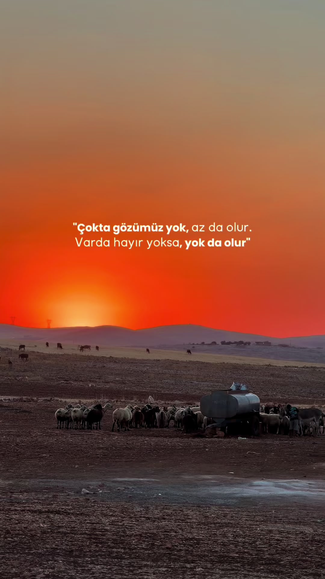 @MehmetDOGAN