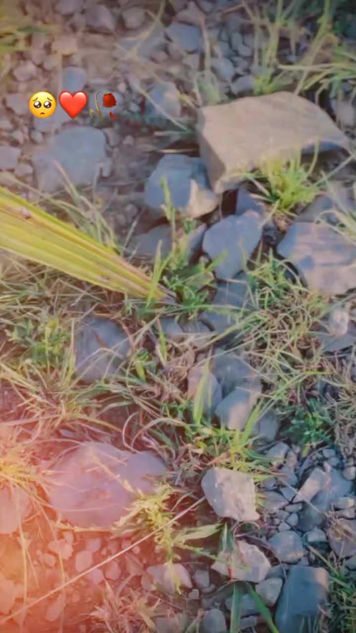 @👑Â𝔩ό𝔳Ꮛḽ║▌💕✿