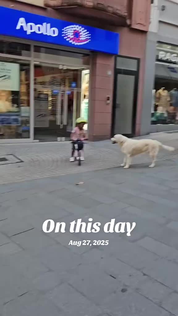 @Hope  🐶
