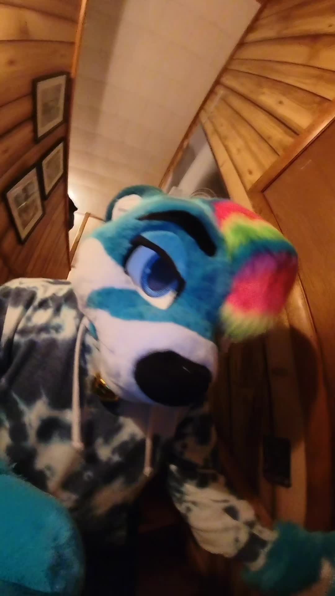 @Floofymass 🔜 AC 2026