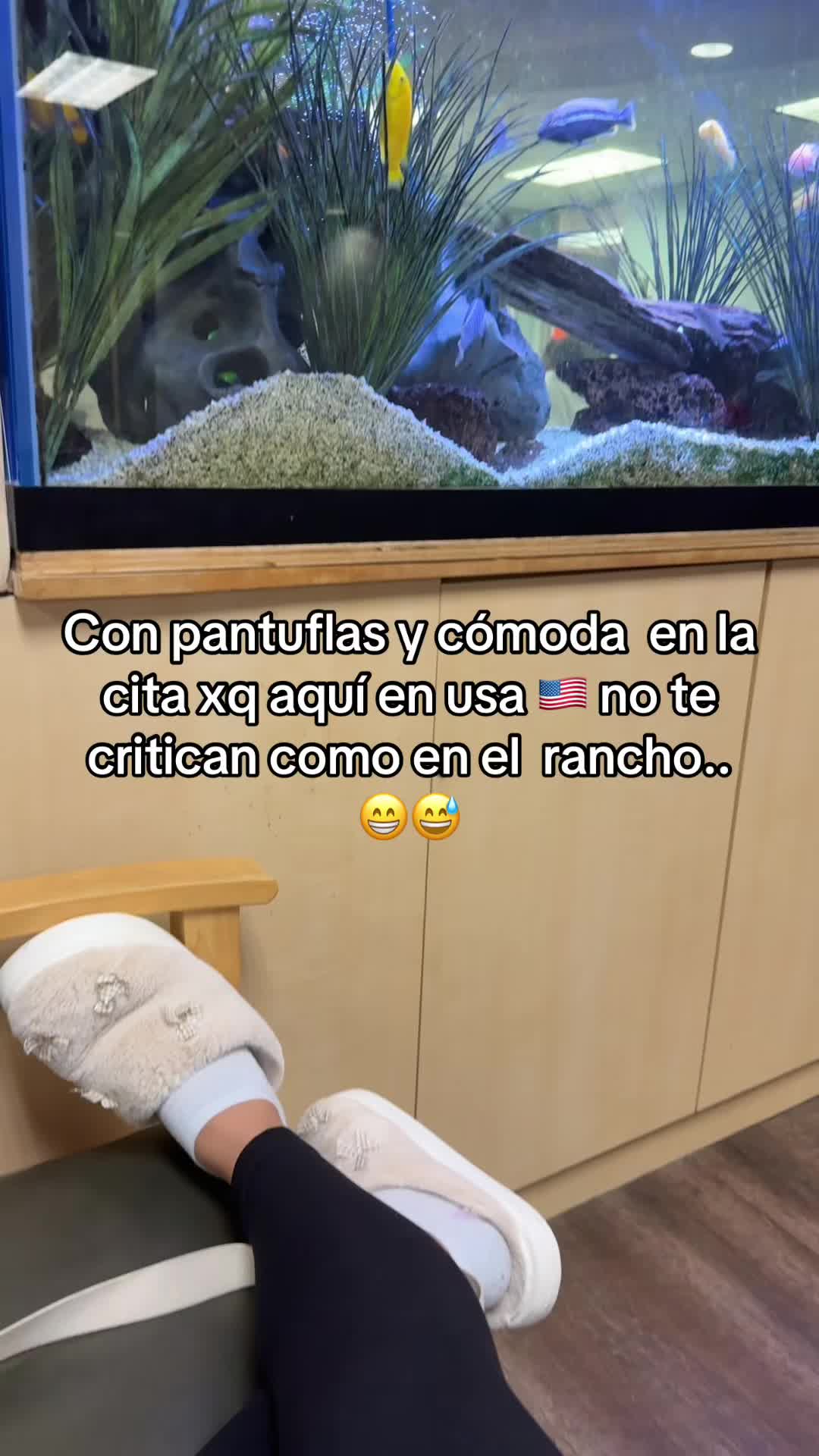 @marisolreyes1118