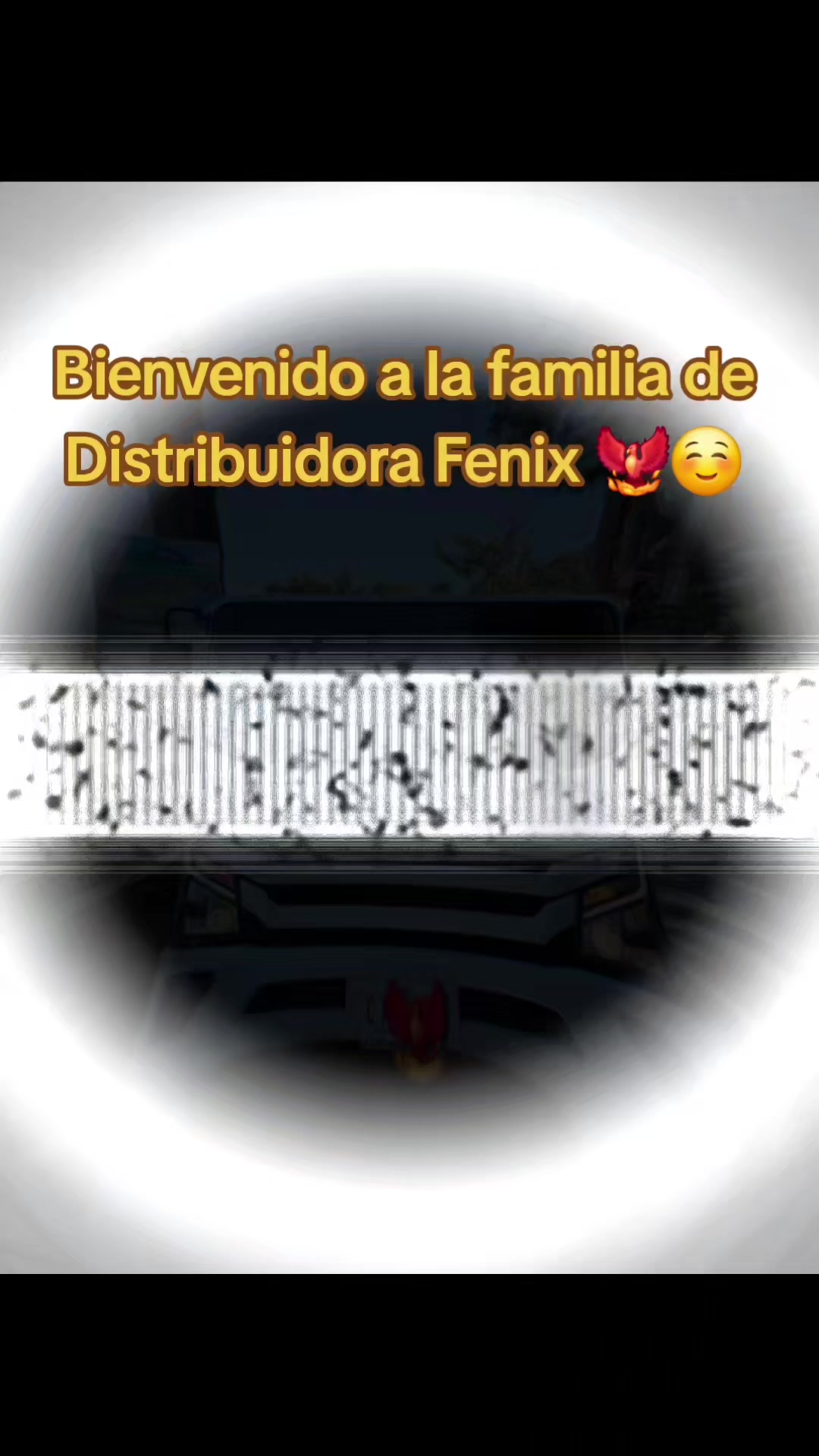 @lilivanessa88