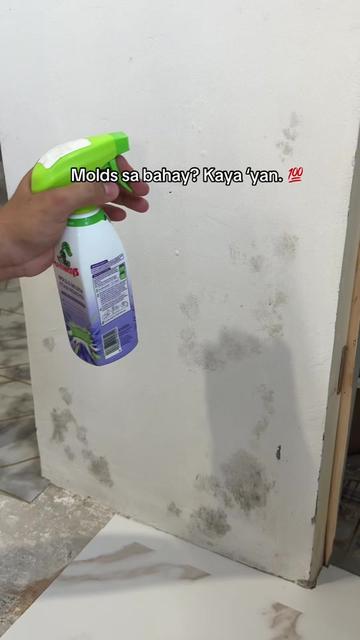 @𝓥𝓪𝓮𝓷𝓷 ꫂ᭪݁
