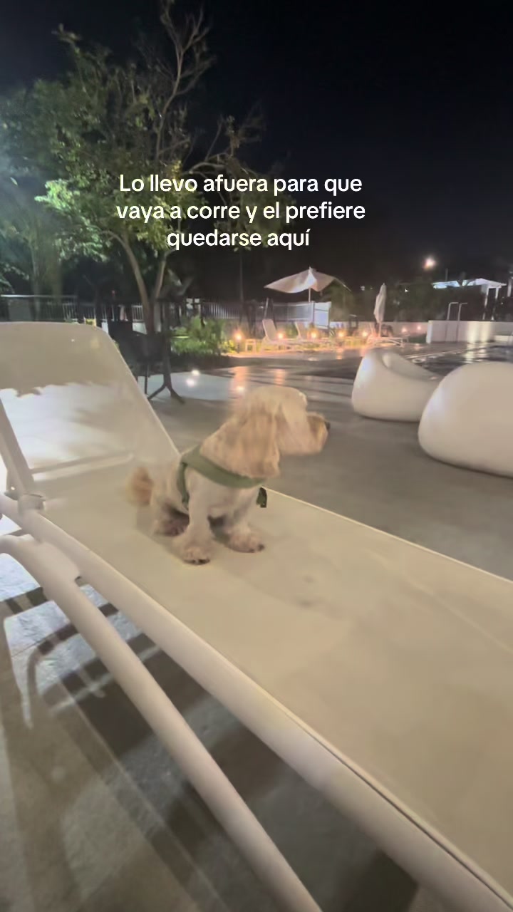 @Beyli
