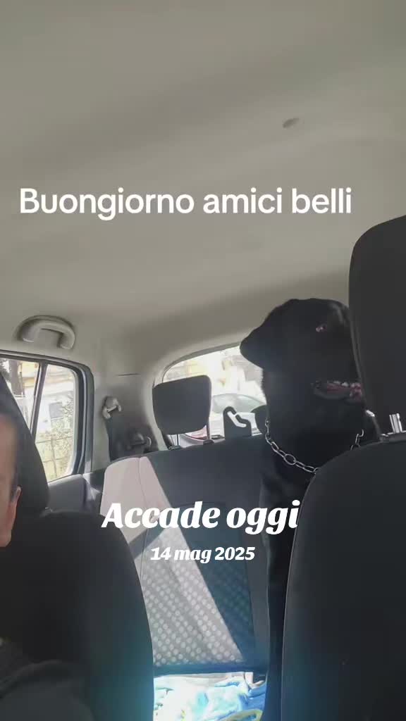 @Vale....🤗