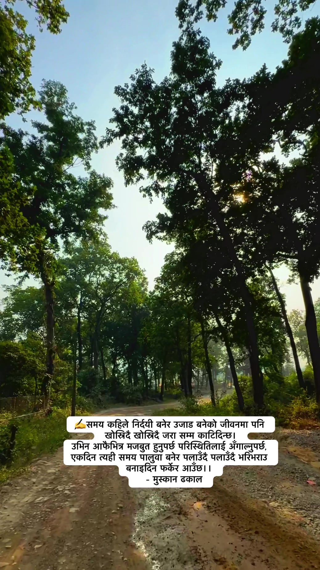 @muskandhakal14