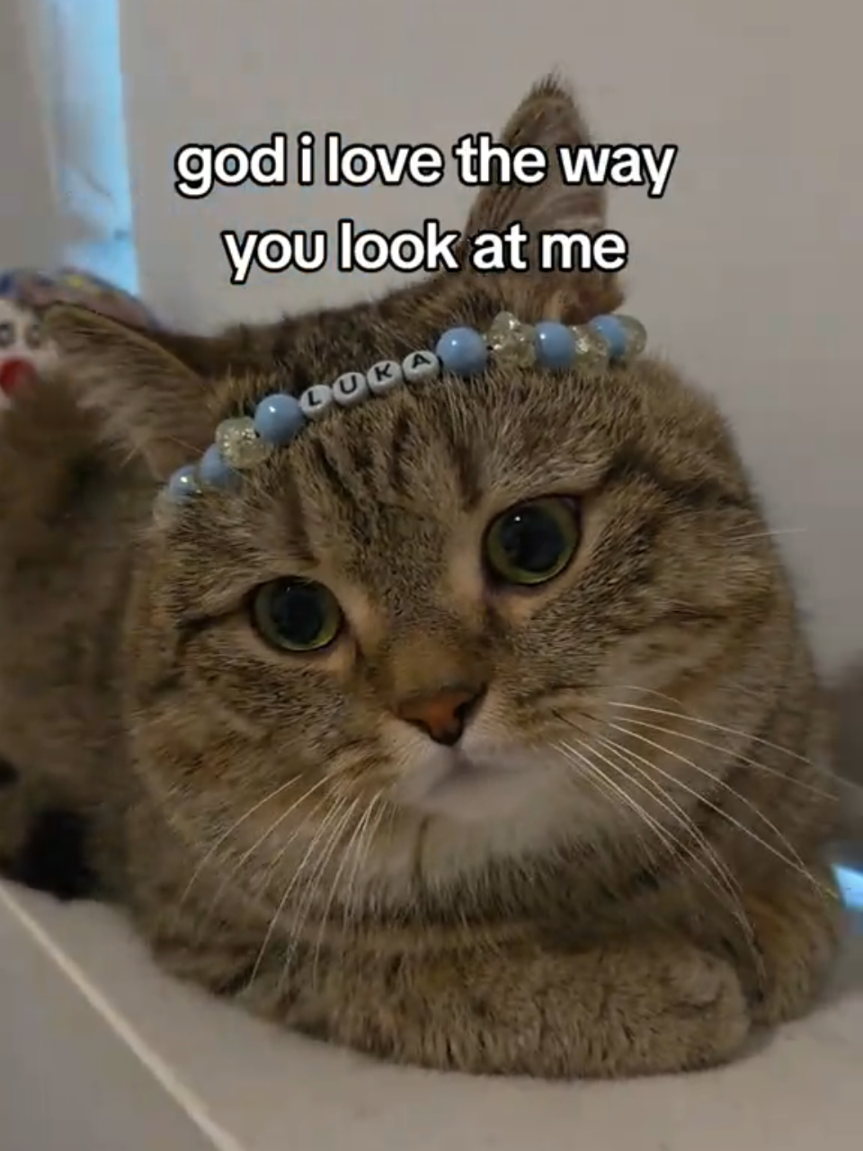 @Luka