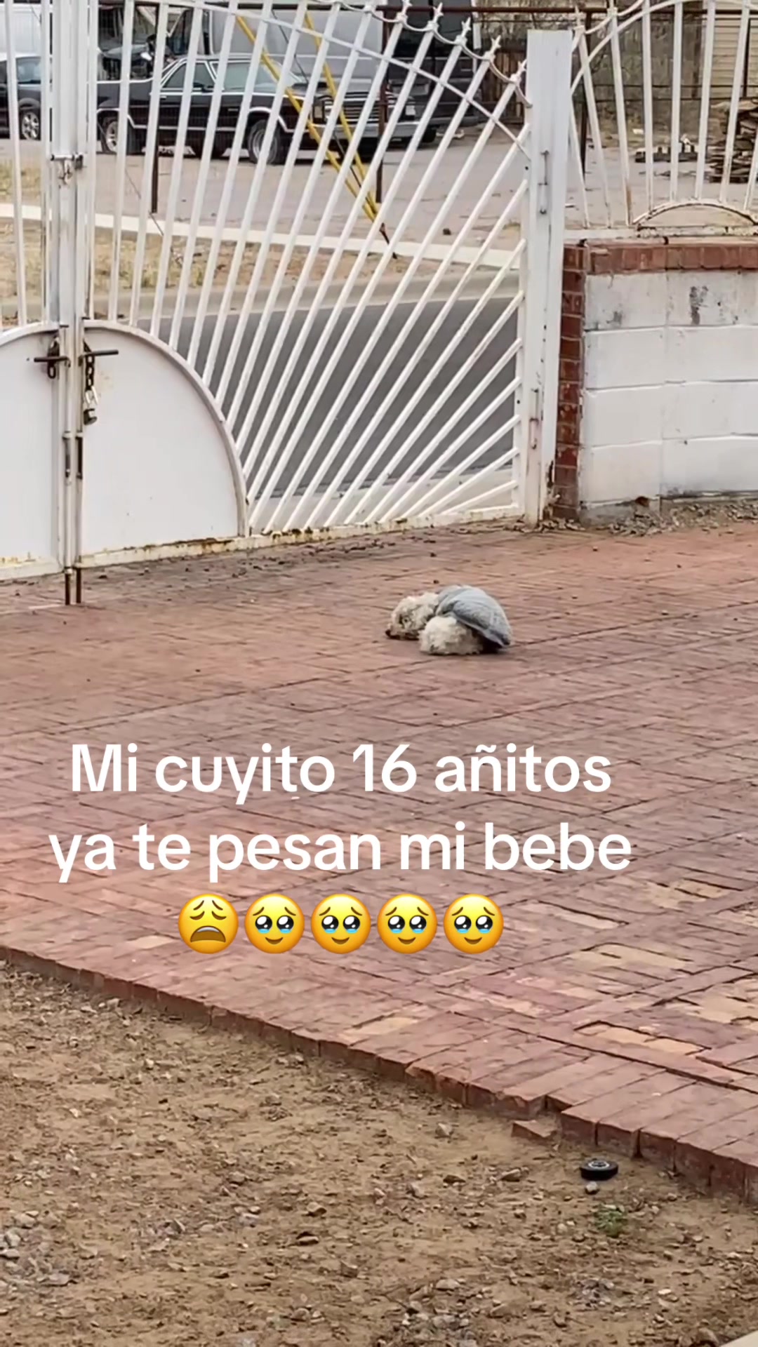 @Margarita 🌼 uzueta