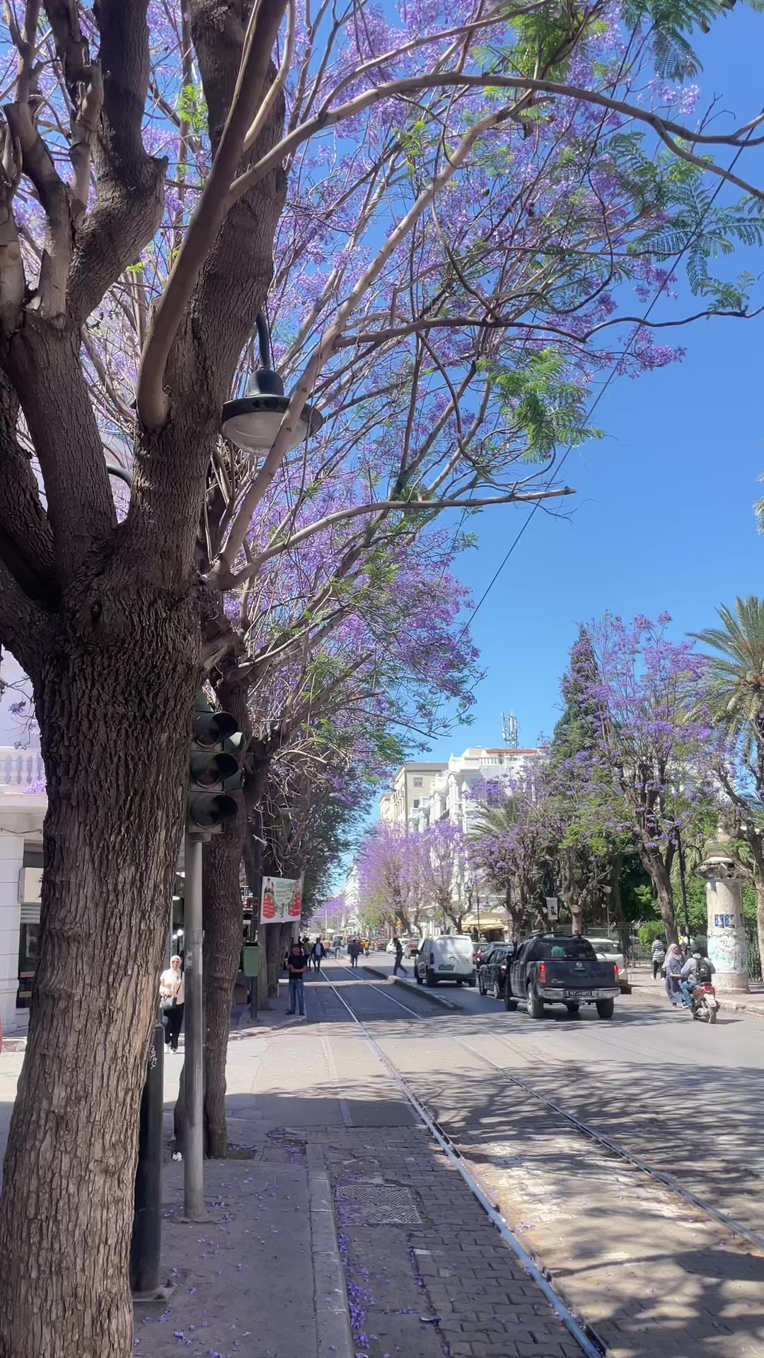 @عبدالرزاق | المحضــــي ⏳