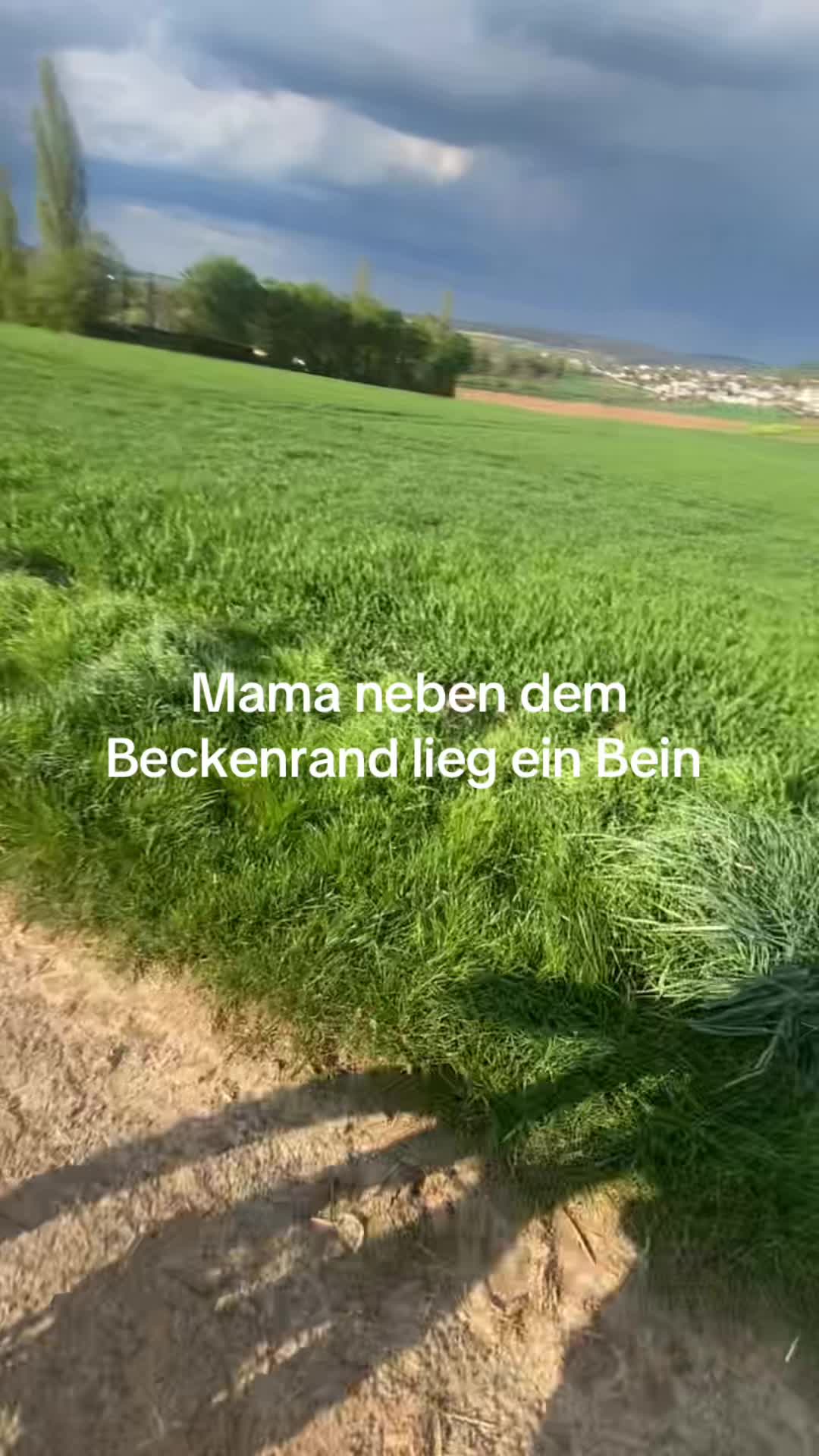 @Zommberg 🇩🇪🦅🦿