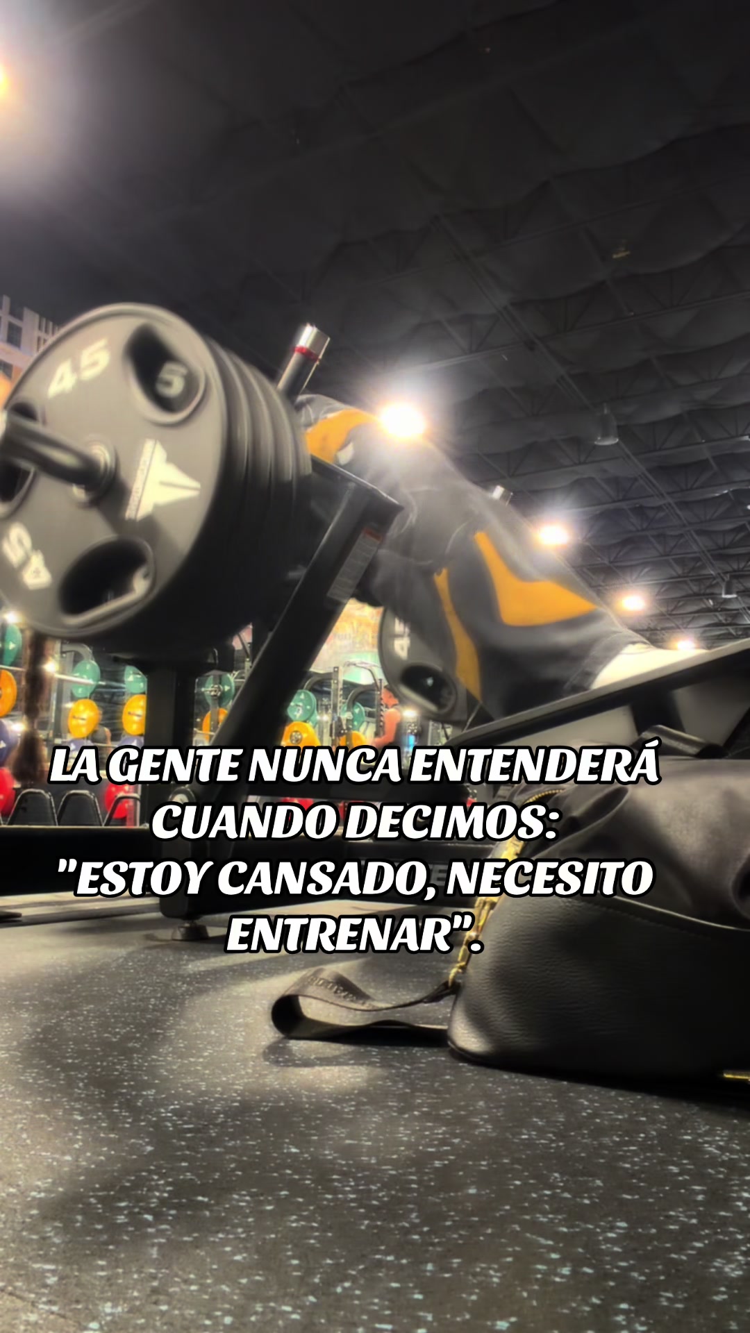 @Claudia Fajardo🐼