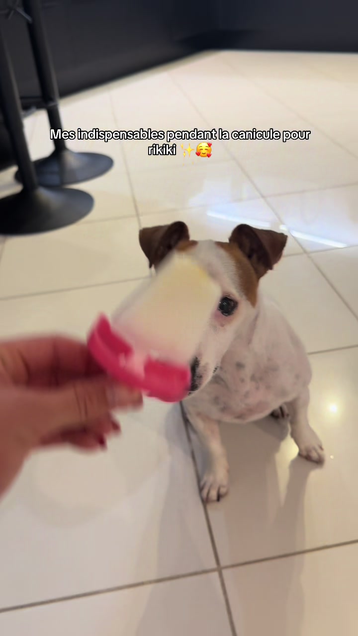 @jadou.bcta