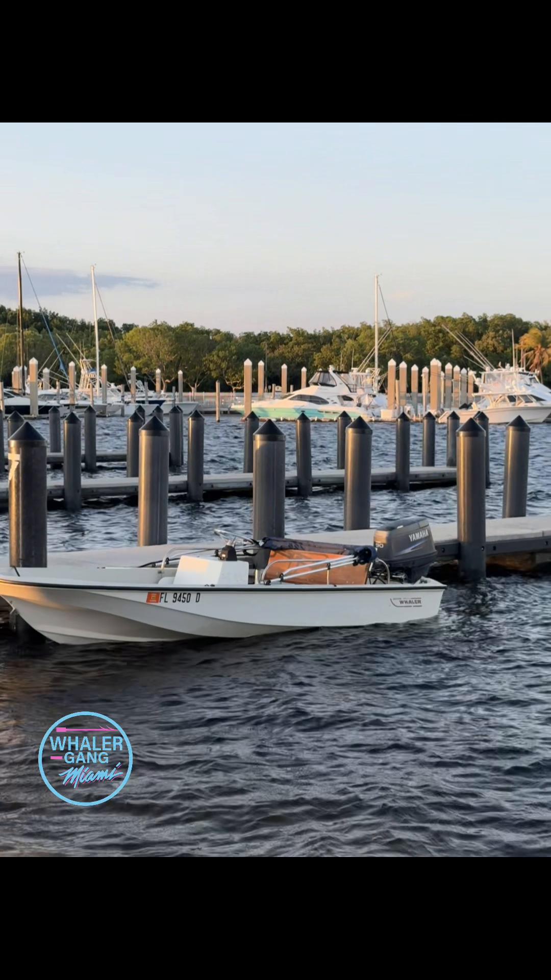 @WhalerGangMiami