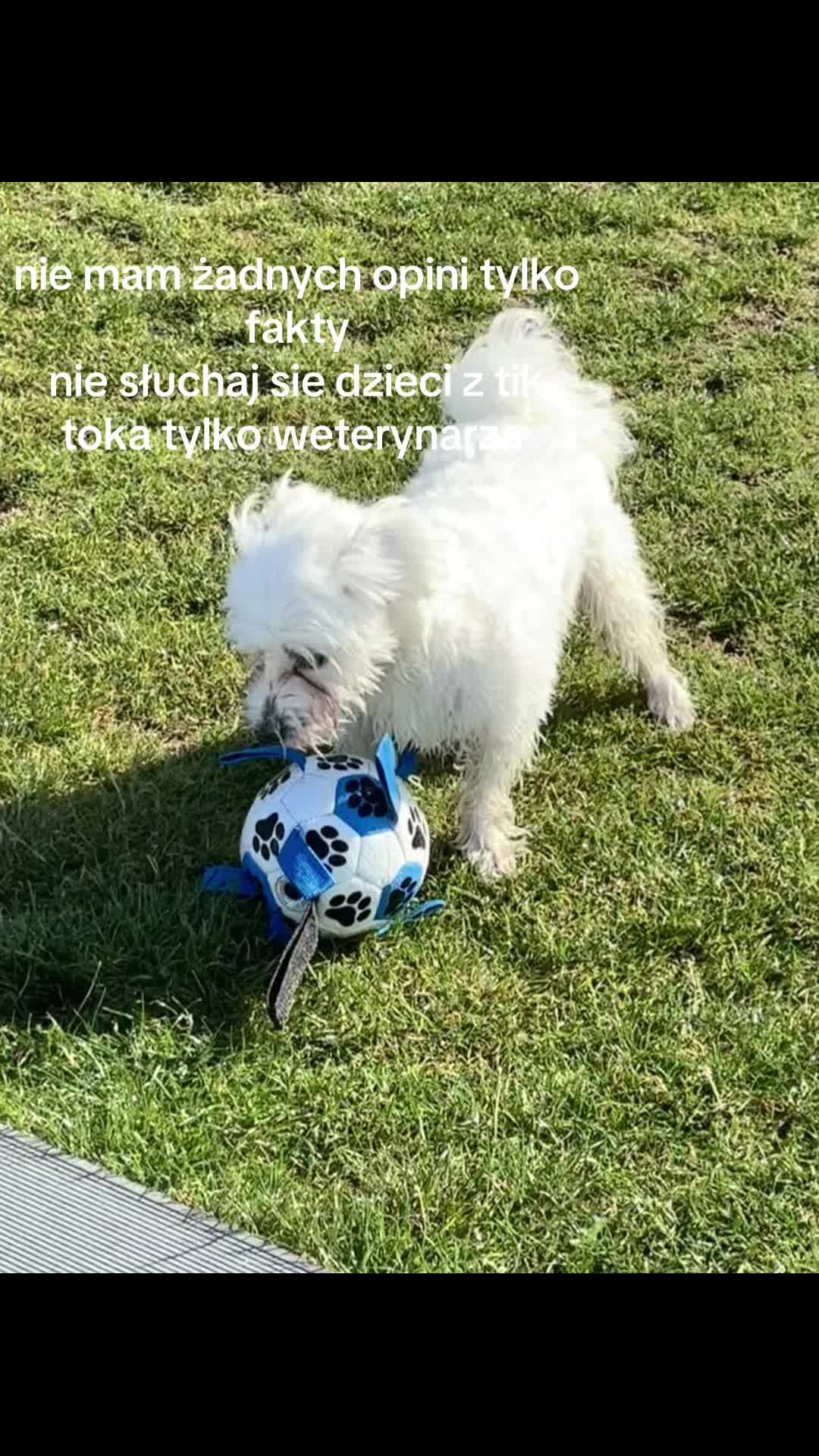 @nelxqs🐜