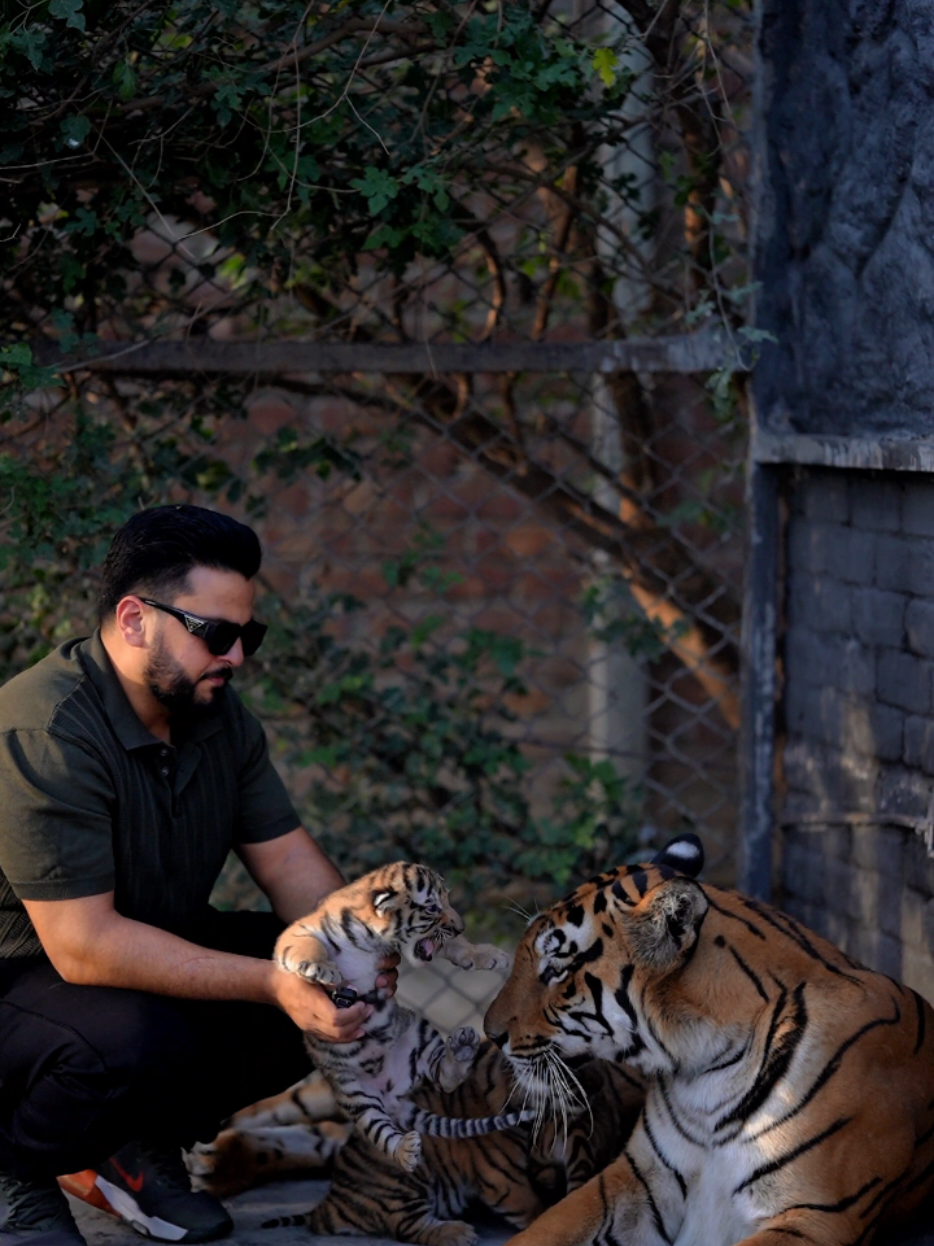@Nouman hassan 🐅