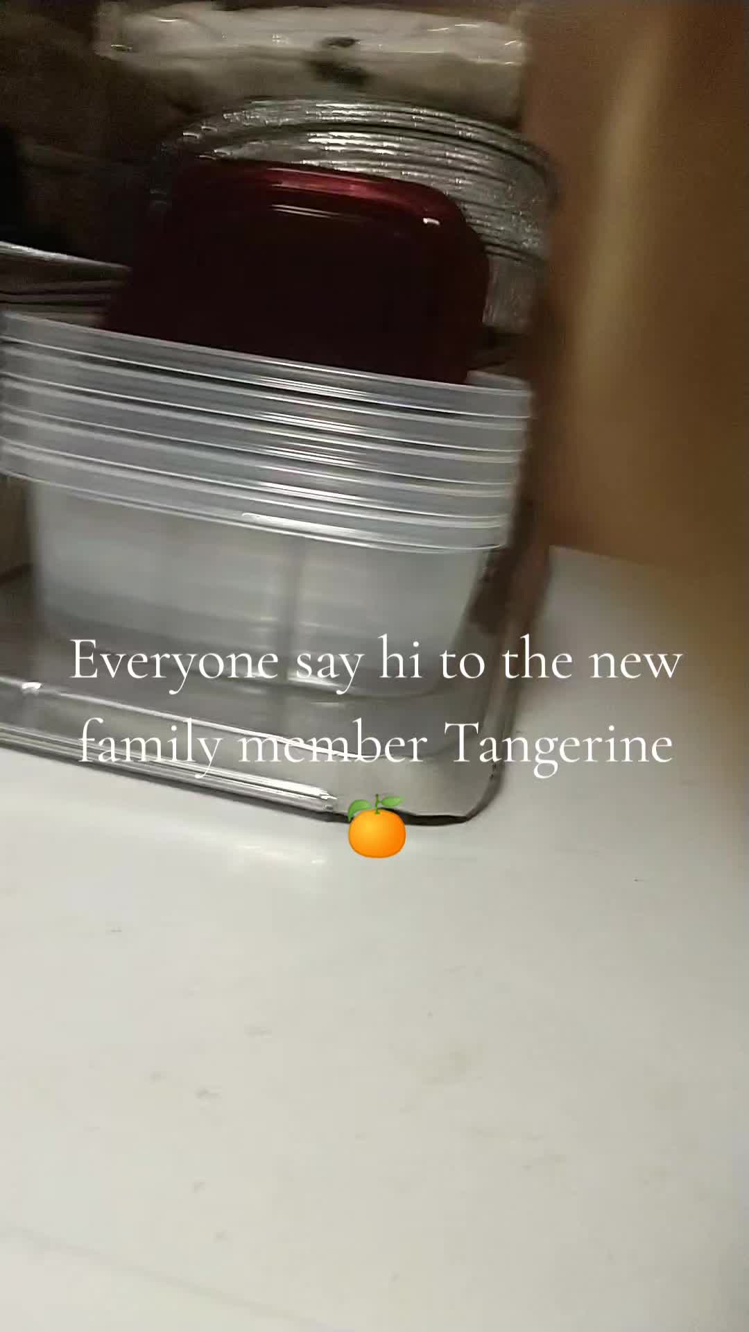 @𝑭𝒂𝒊𝒕𝒉