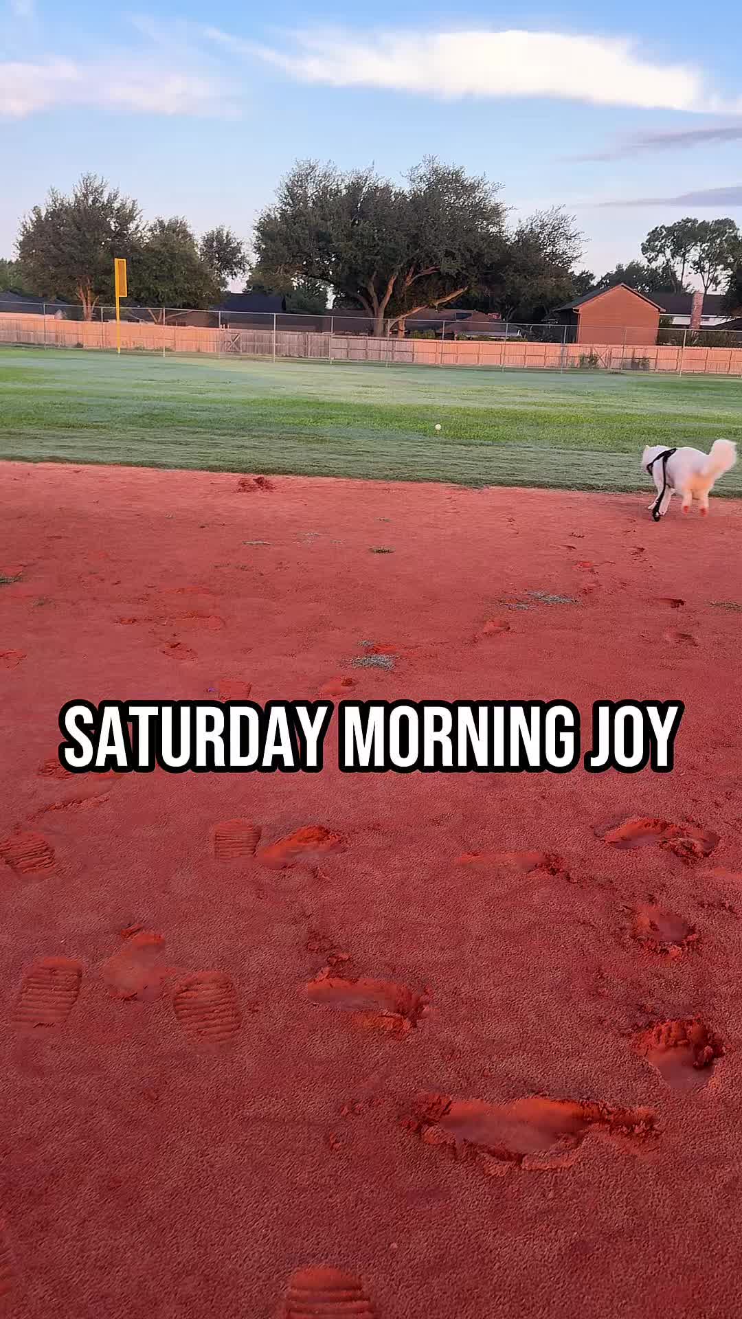 @jessisback13