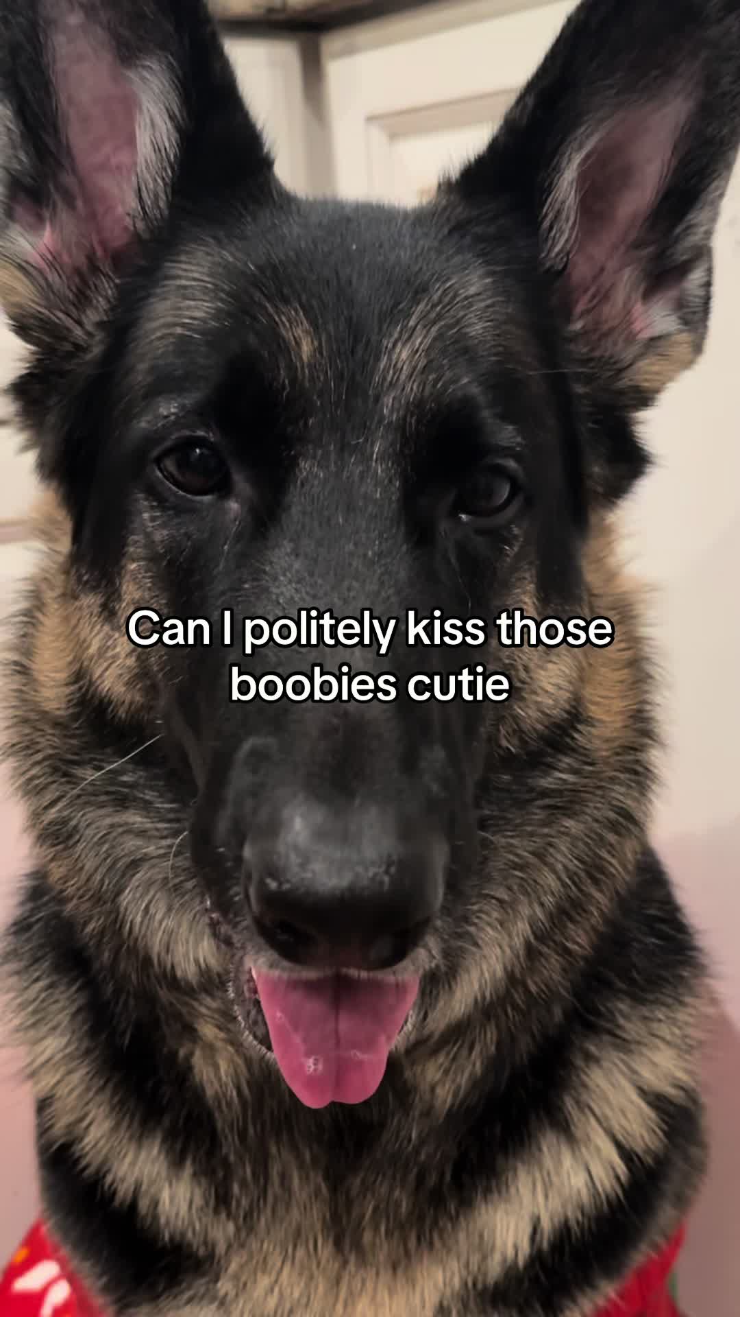 @Bhris