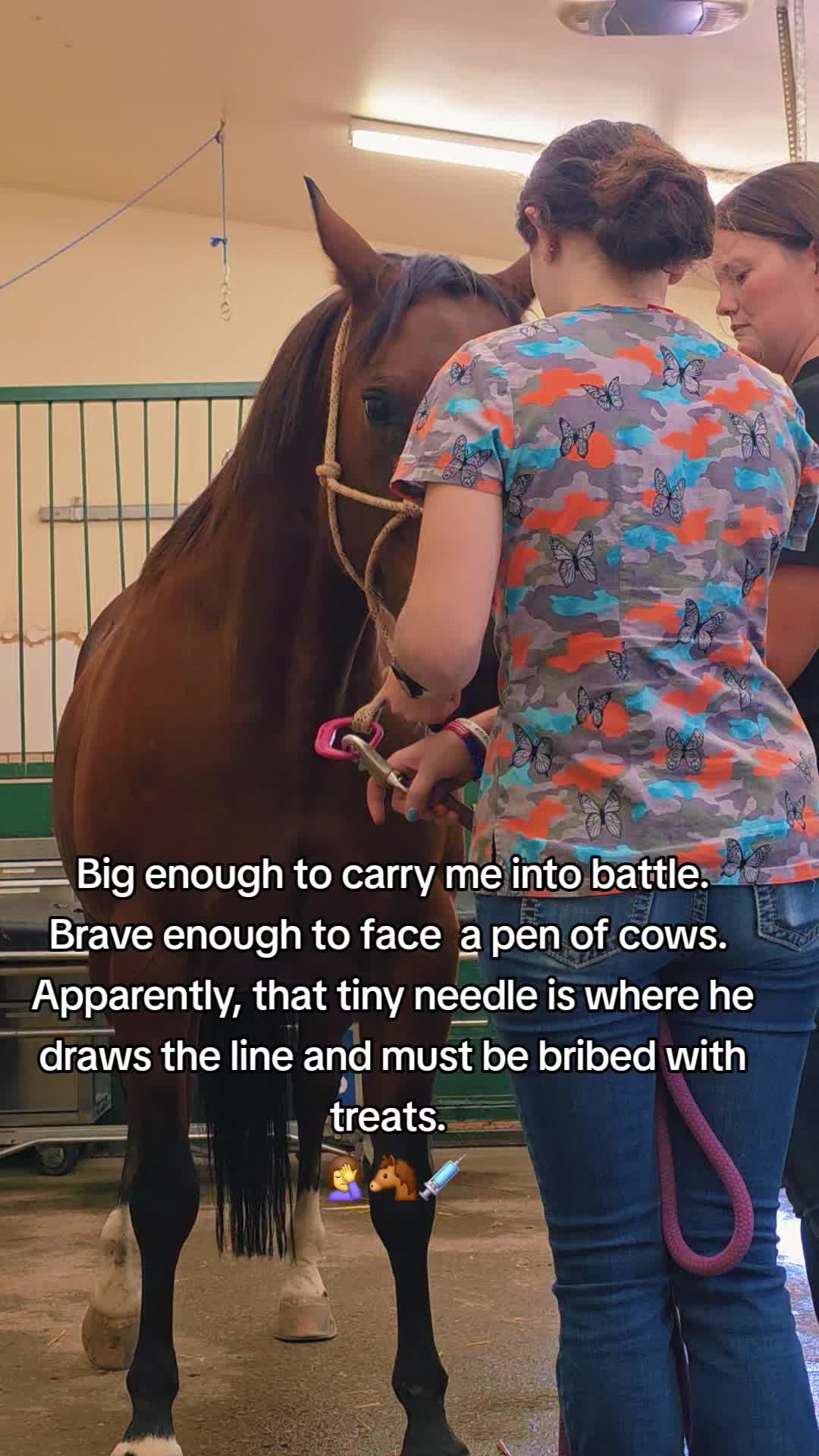 @🐴 ColdMountainRanch 🏇