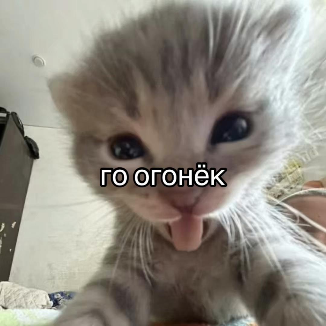 @Dirol2013