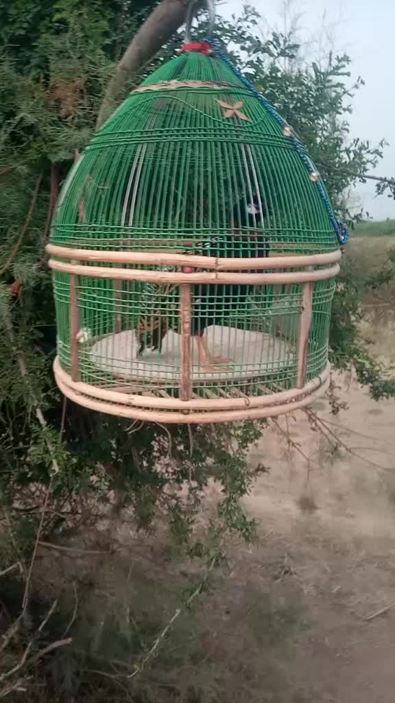 @03279280799