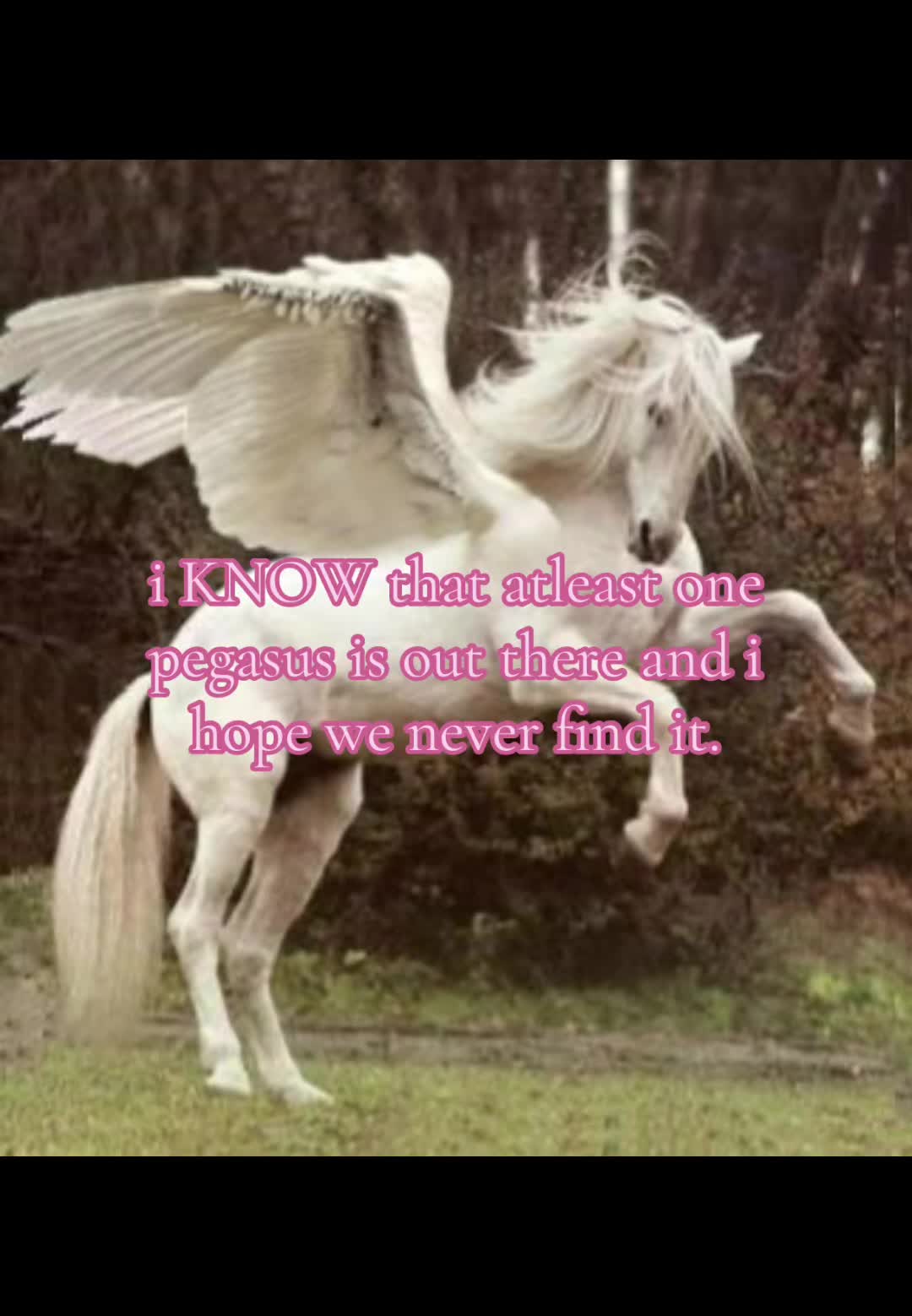 @๐