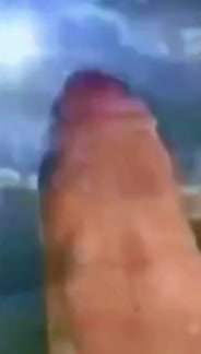 @🜏✰🅰🅳🅷🅳🌱🆄🅽🅸🅺🅾🆁🅽✰🜏