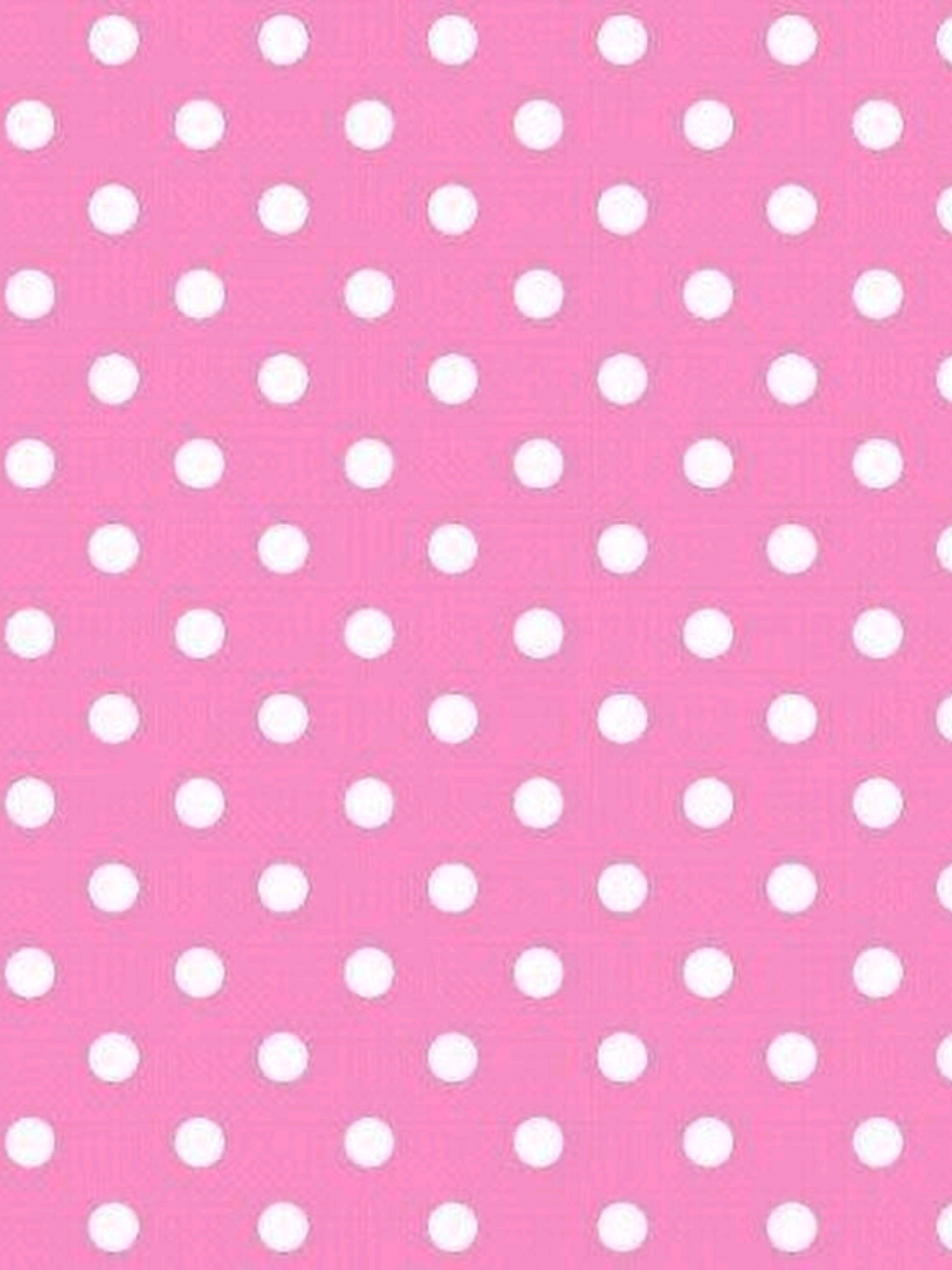 @🎀