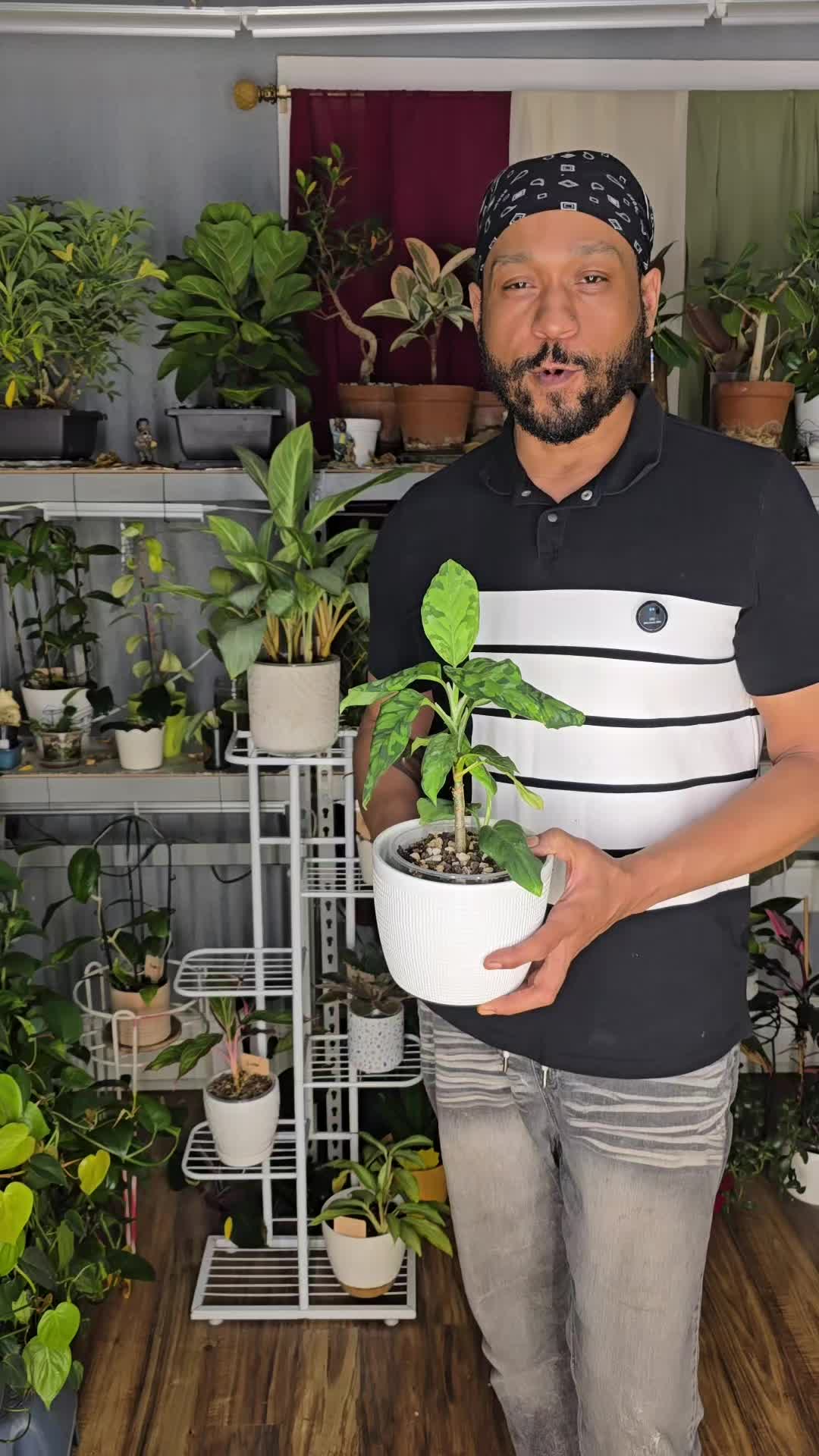 @JT - BigEGOPlants