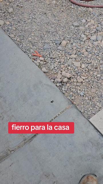 @pato