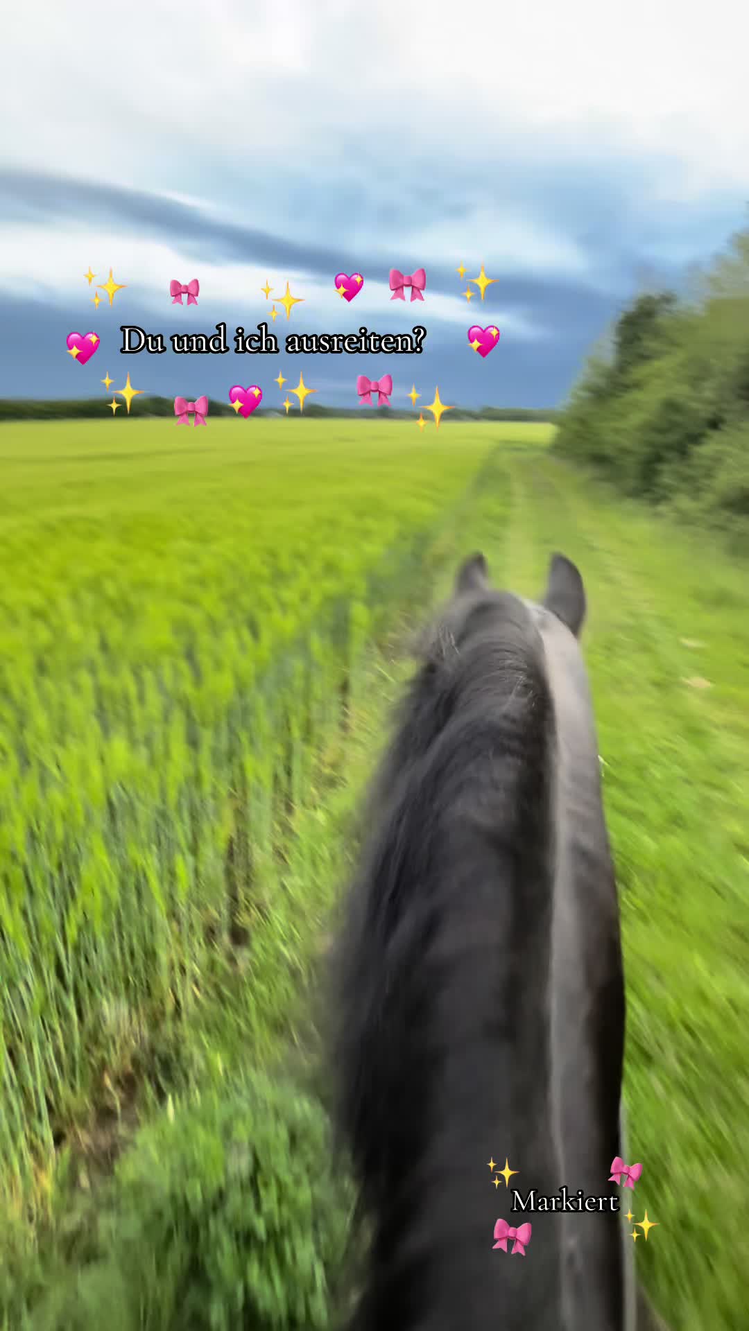 @Horses