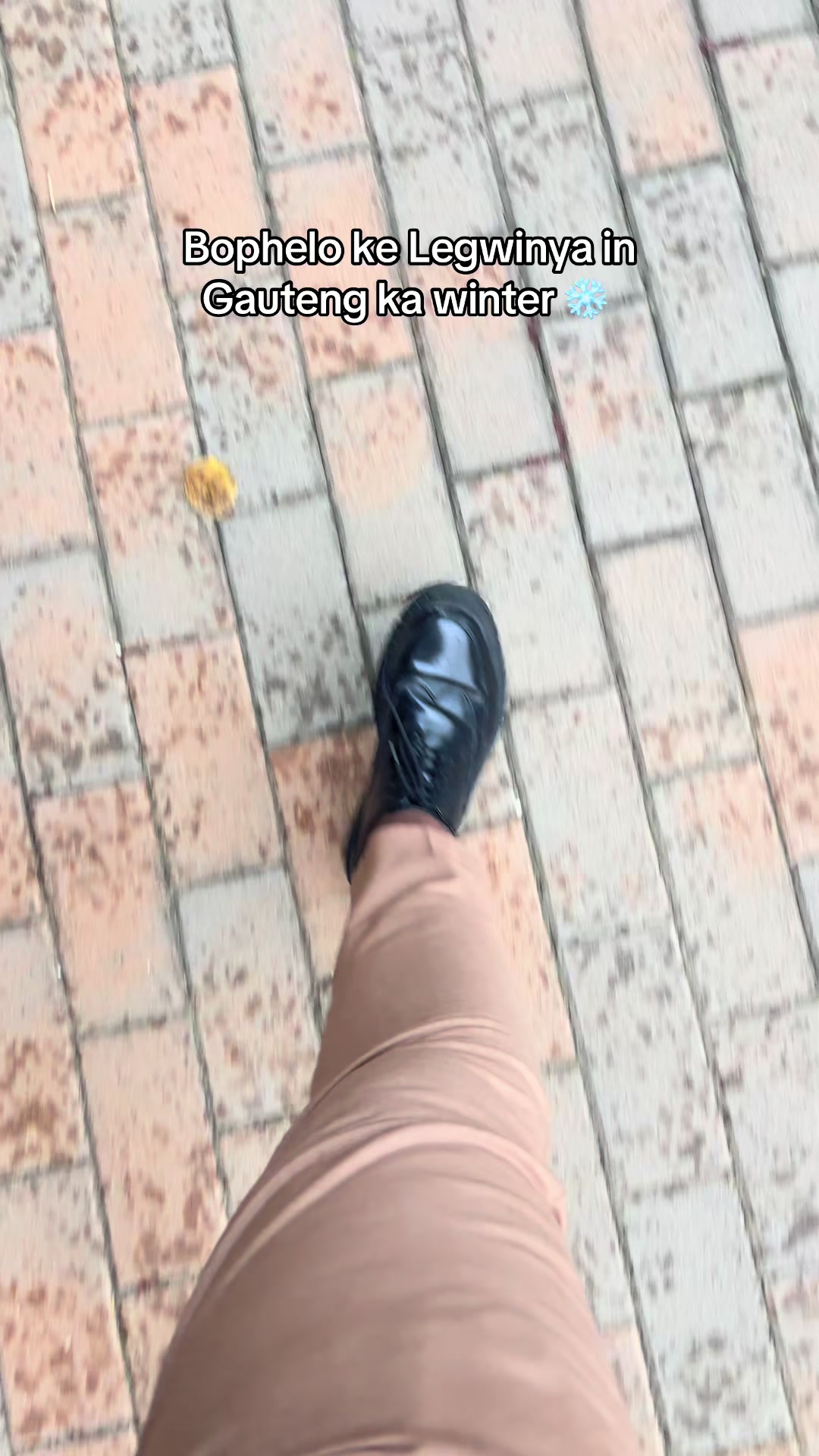 @Ice 🧊