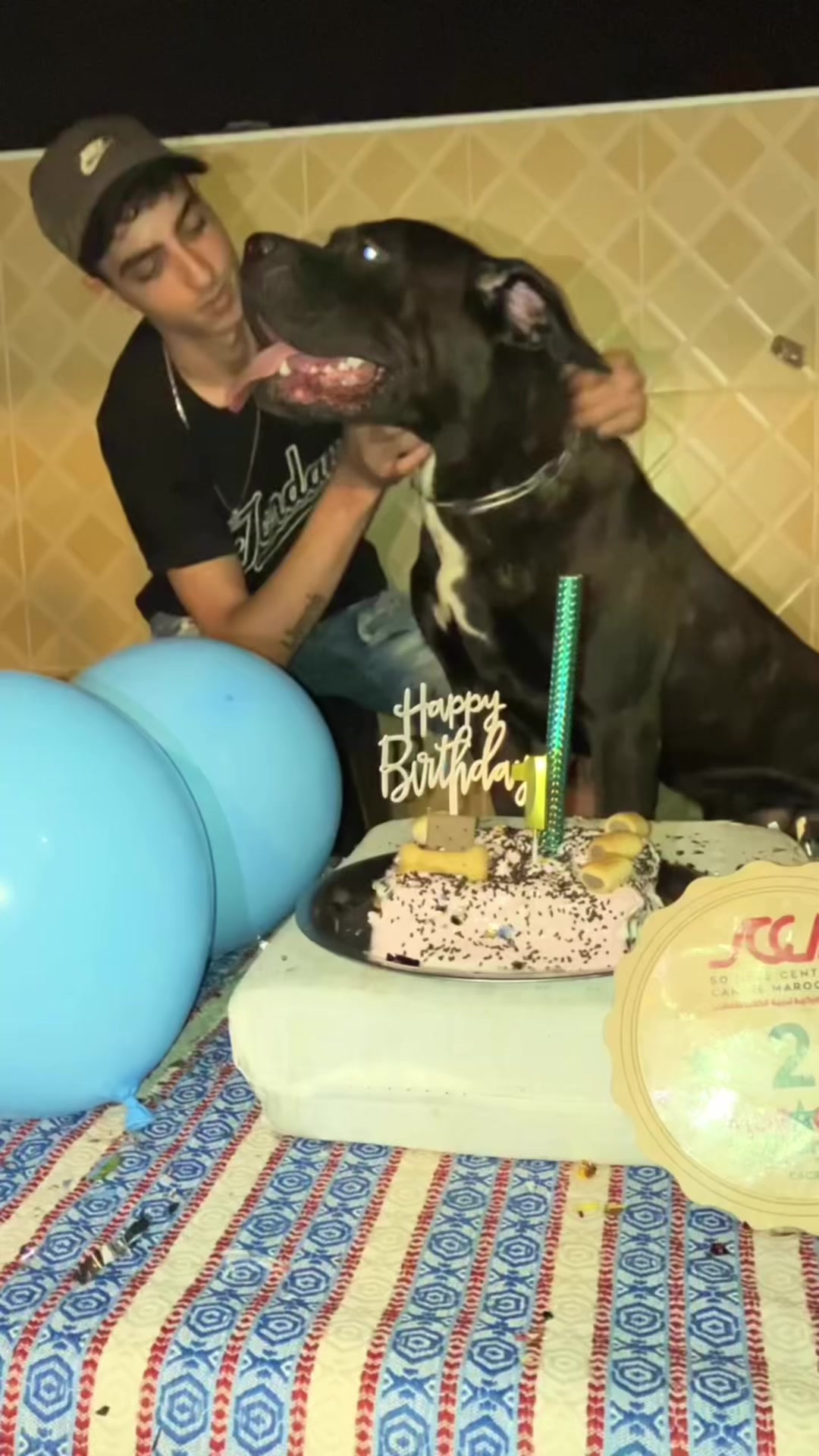 @canicorsoftmalinois