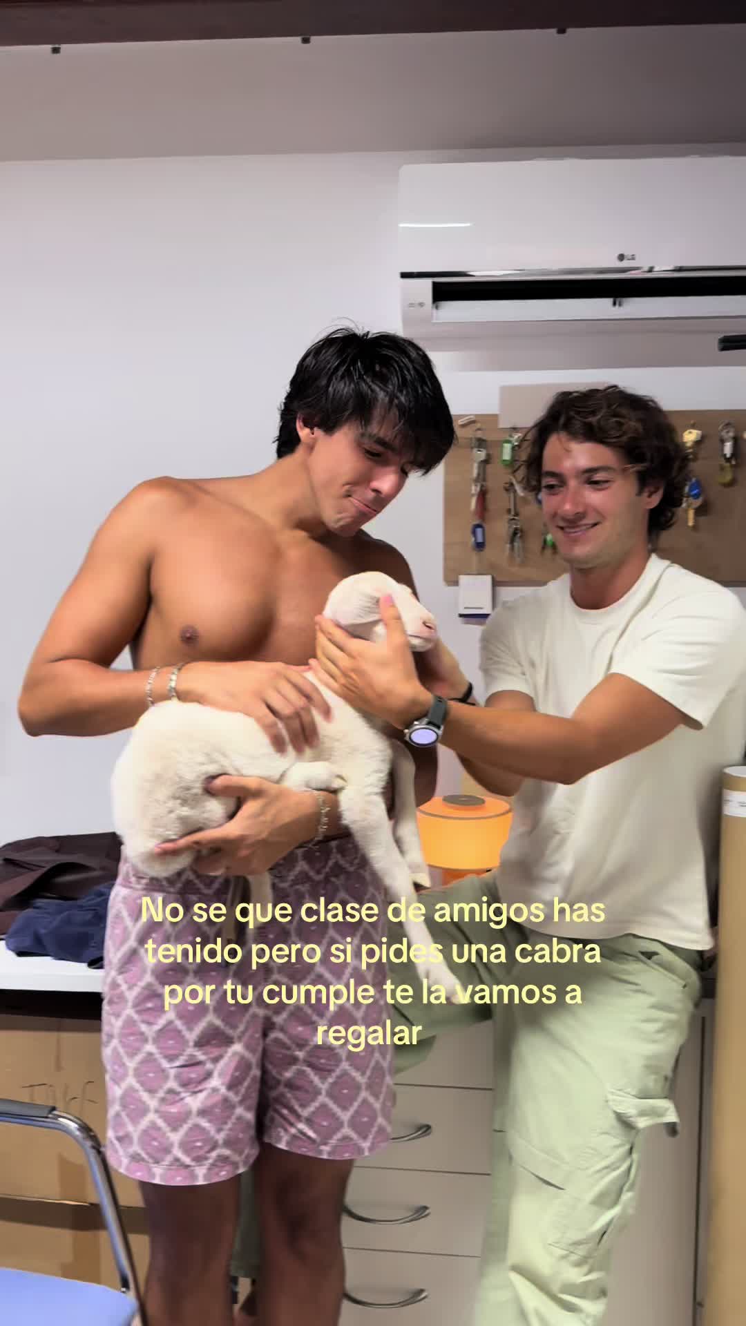 @David Aliagas