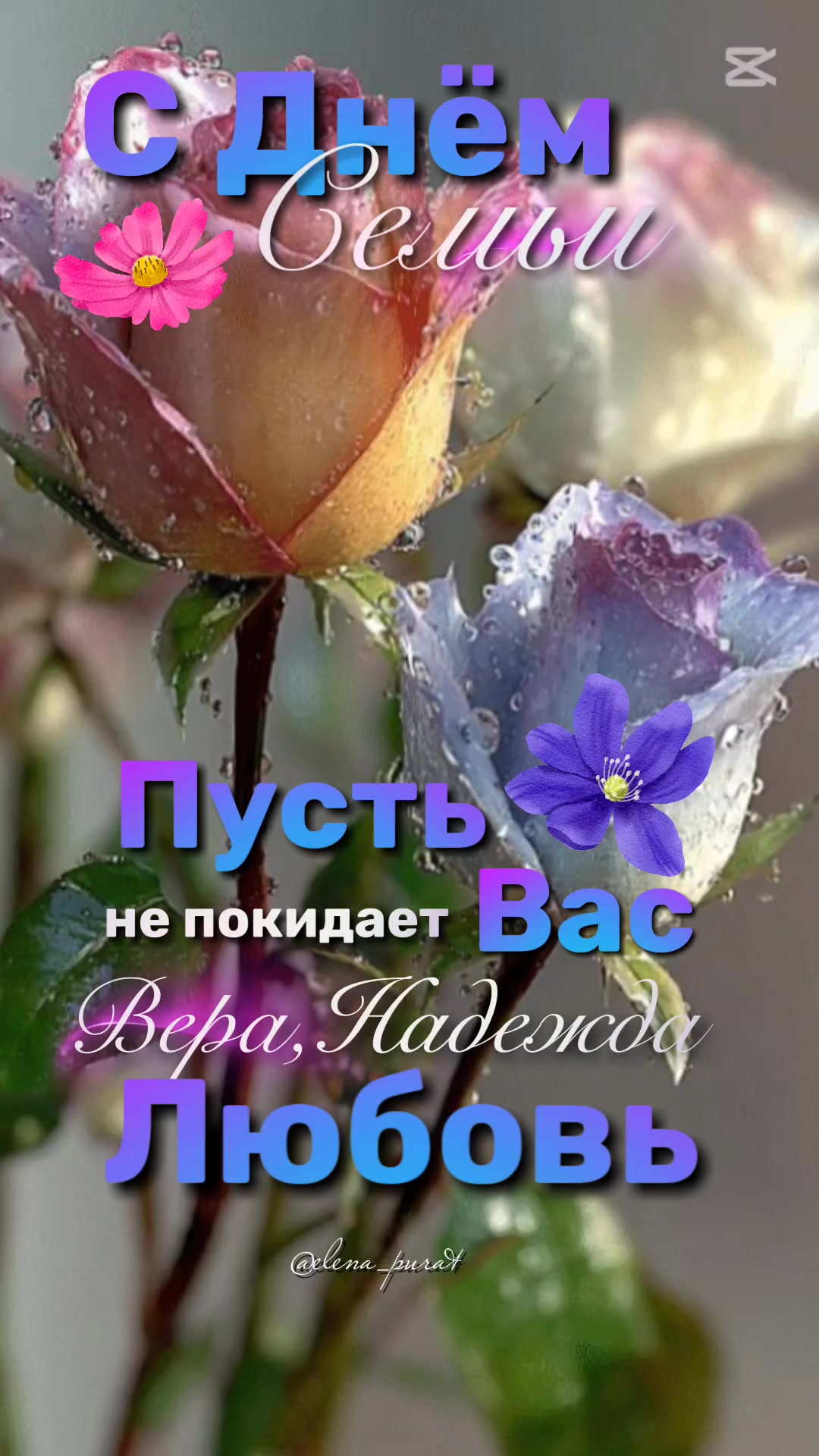 @ВидеоПОЗОР🙈😅
