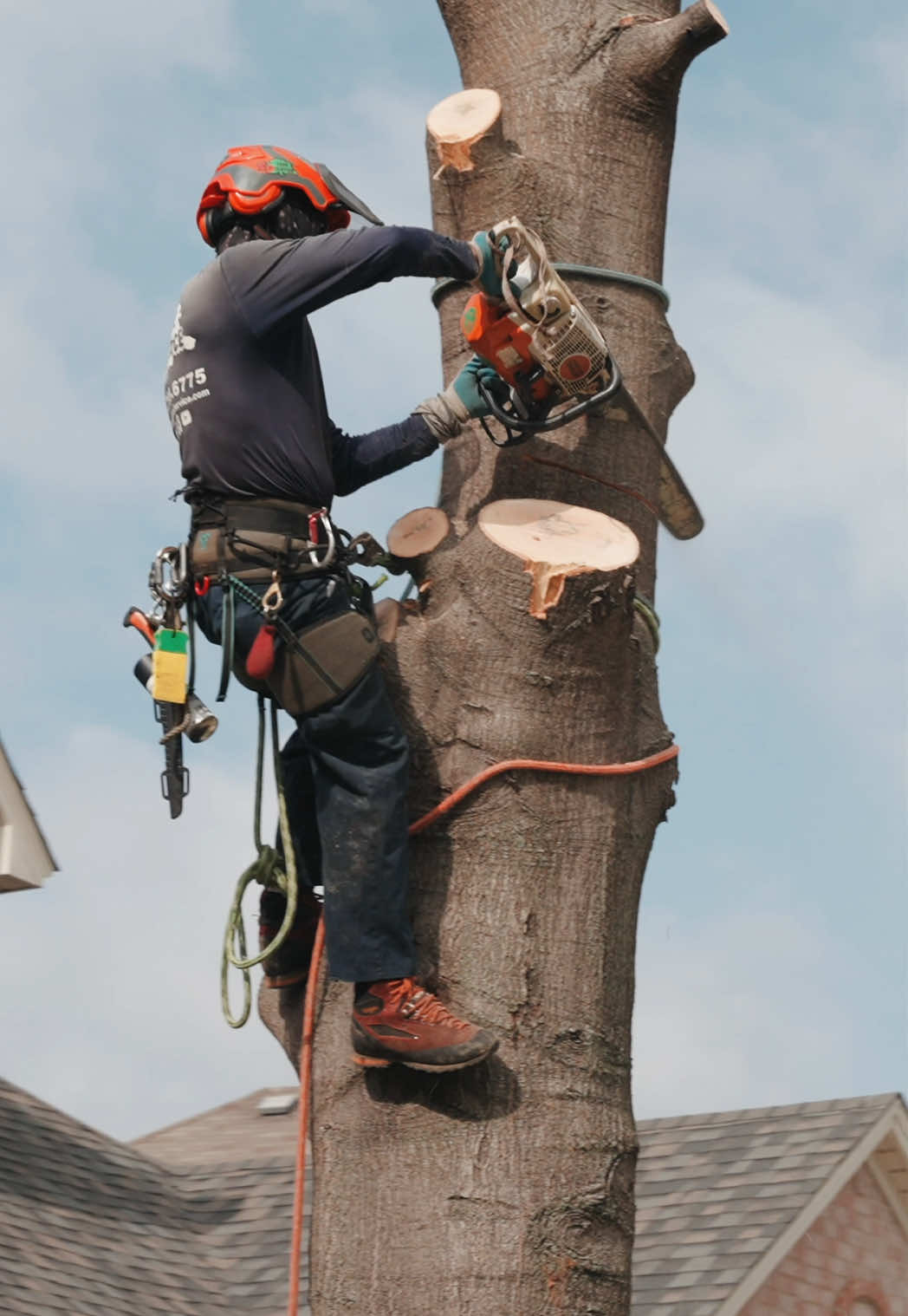 @SPTreeService