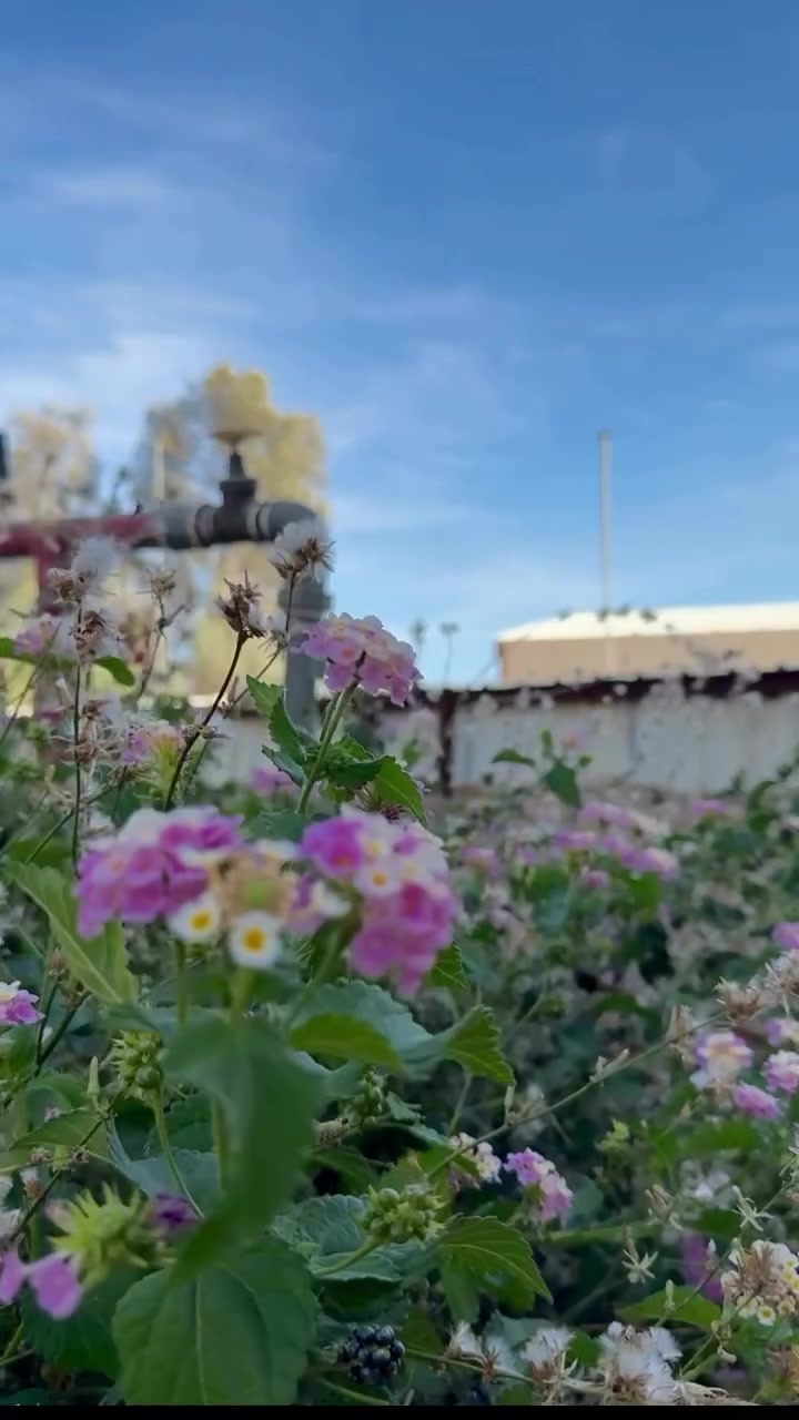 @@اسناد