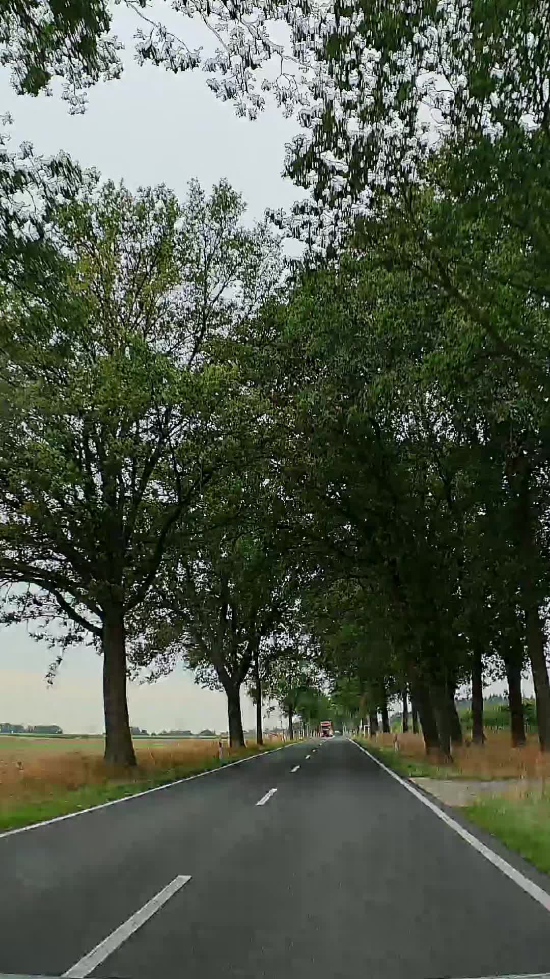 @Legus⚡Unterwegs 🚘