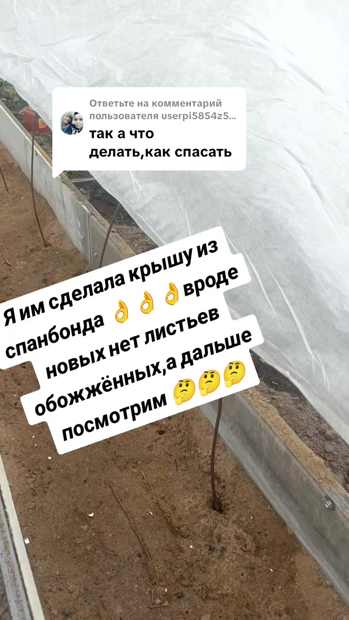 @Оленька