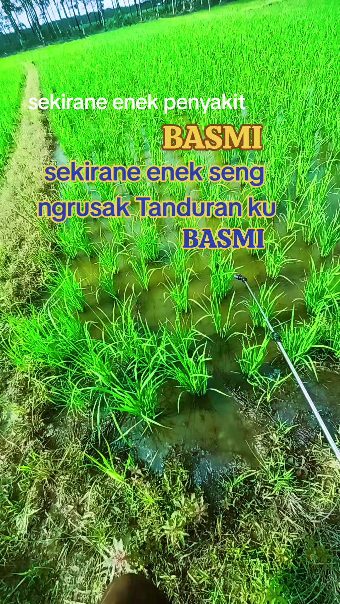 @📸Damar_Wulan🪡