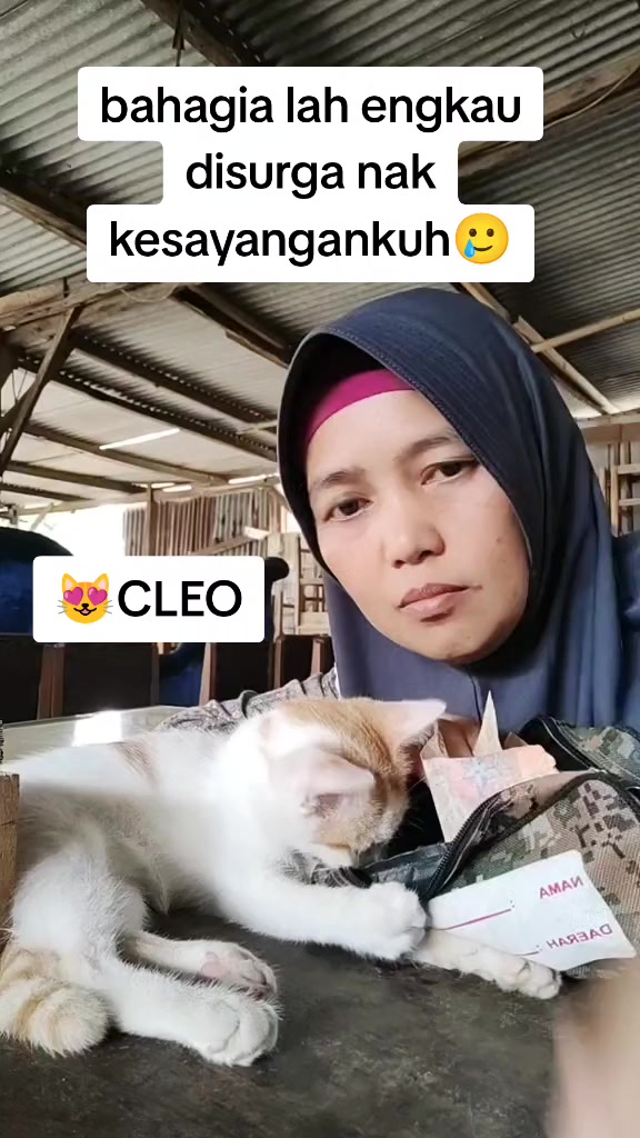 @Linda | Store