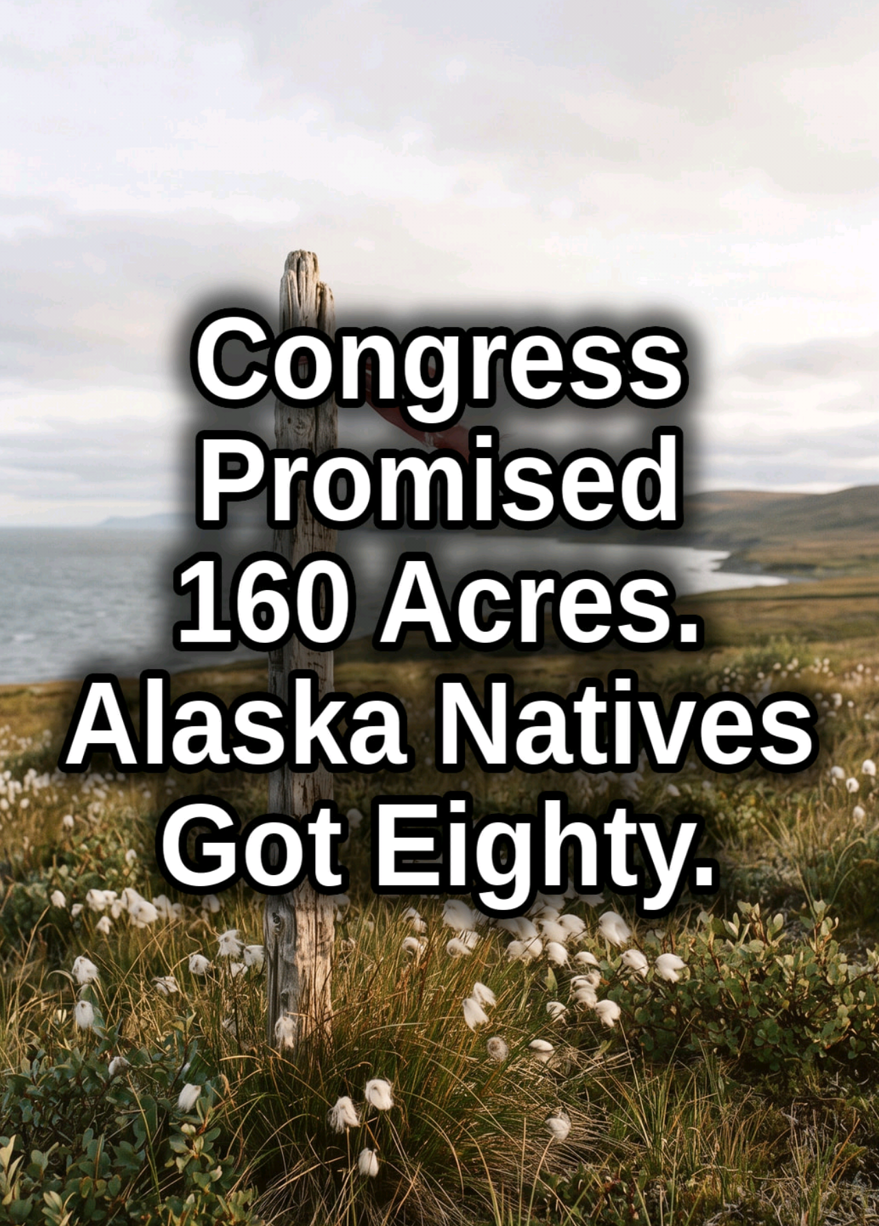 @alaska.history