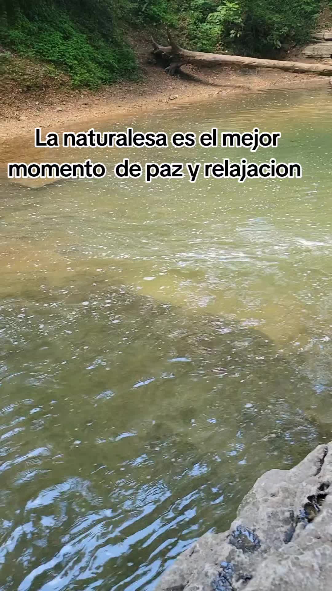 @Magynajera