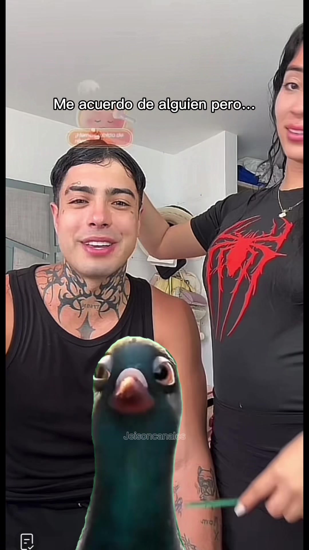 @Jeison Canales🐧🦜🐯🐢