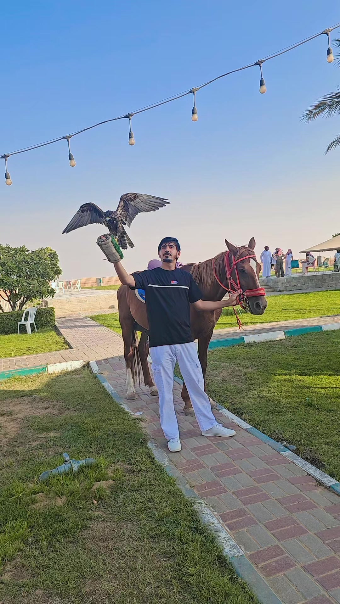 @Desert Safari King 🧿