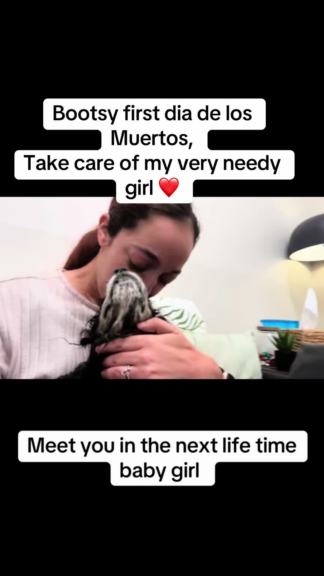 @Vanessa Matos