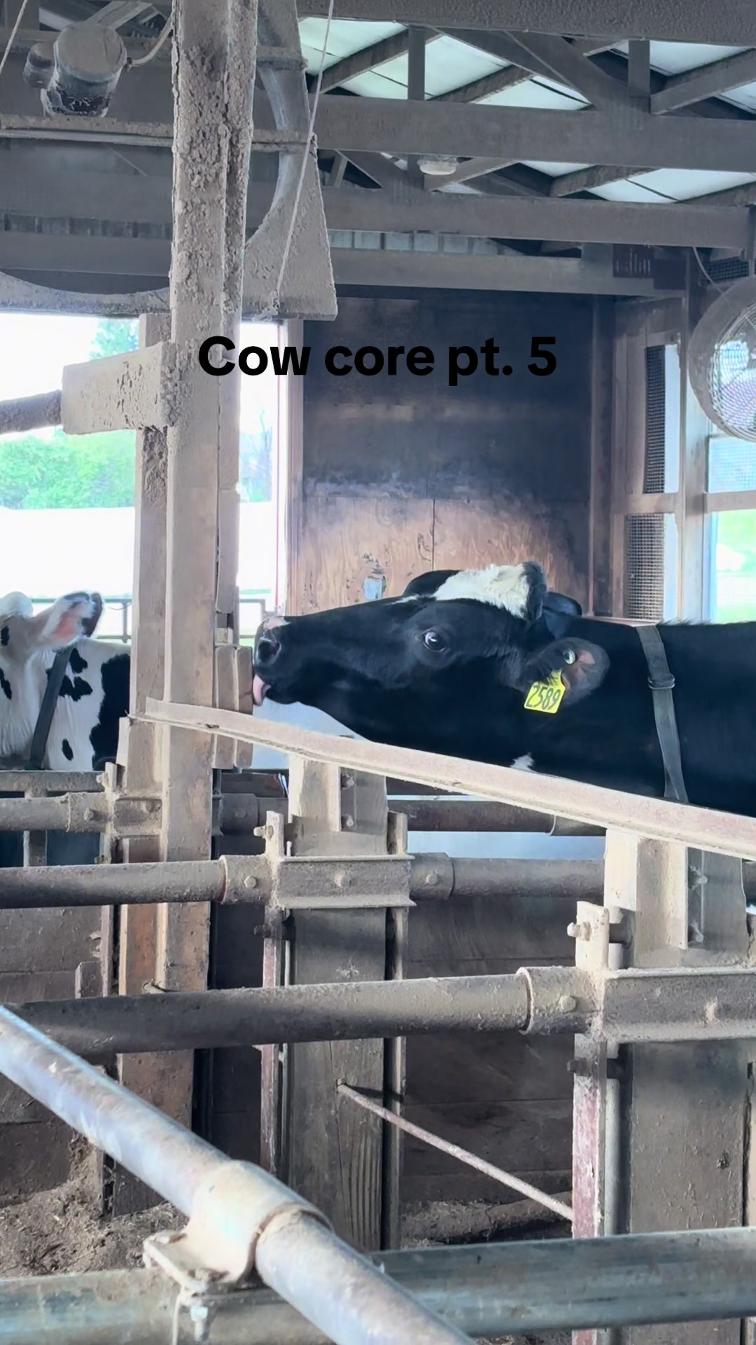 @Pingrey Family Farm LLC