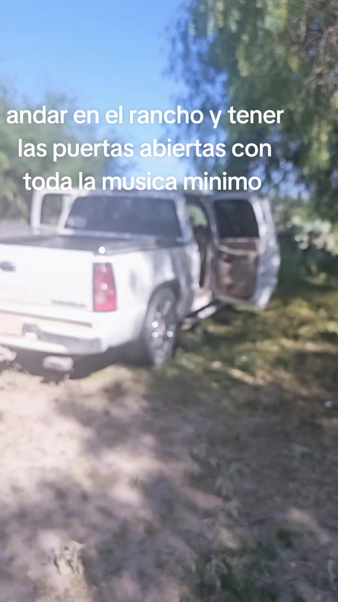 @El minimo del Tiktok