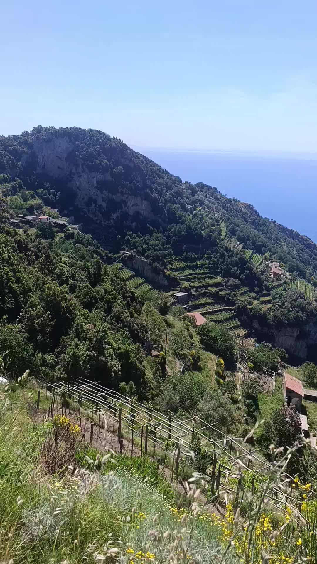 @Giovanni Salzillo